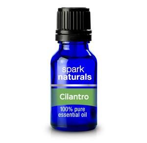 cilantro essential oil